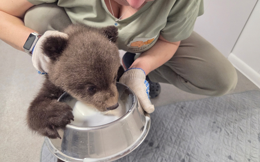 Фото: vk.com/obrcrussia