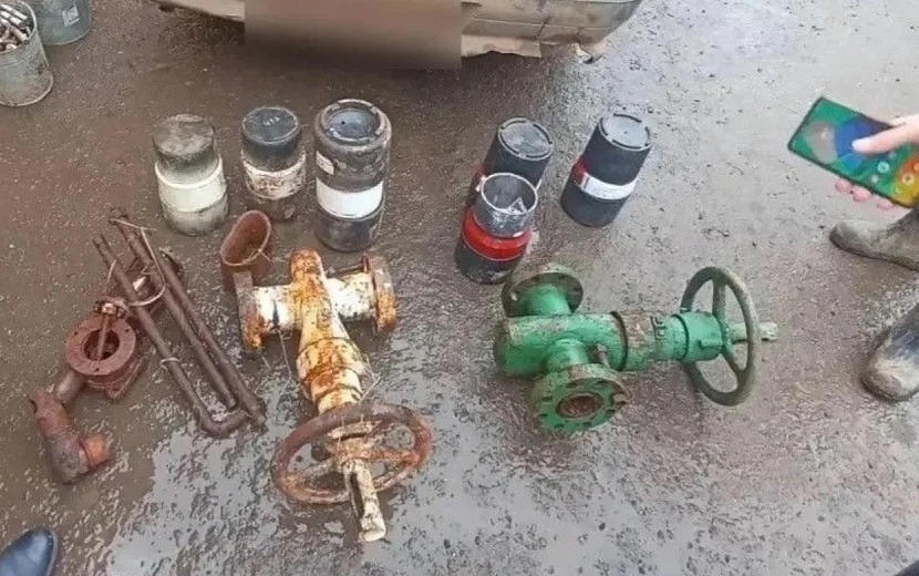 Фото: Госавтоинспекция Удмуртии