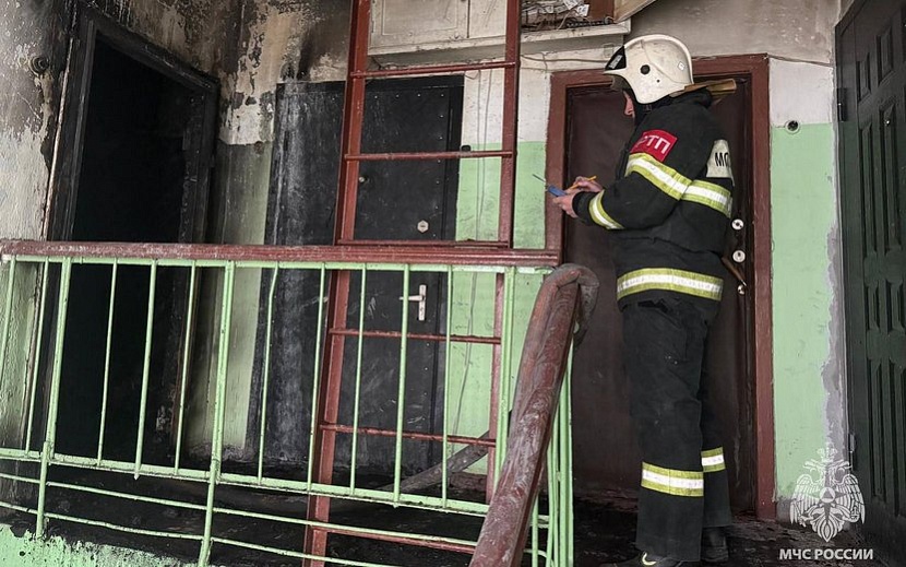 Фото: пресс-служба ГУ МЧС по Московской области