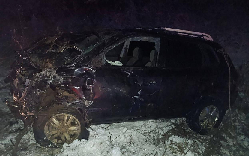 Фото: Госавтоинспекция Удмуртии