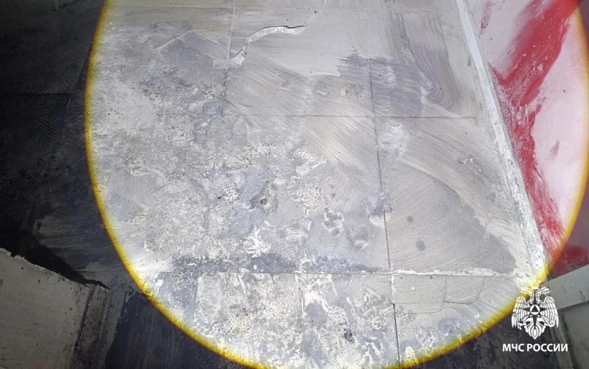 Фото: пресс-служба ГУ МЧС по Удмуртии