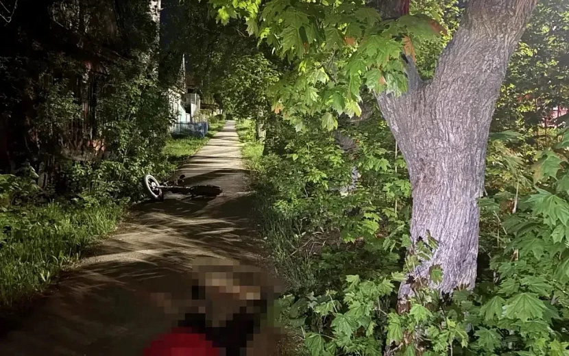 Фото: Госавтоинспекция Удмуртии