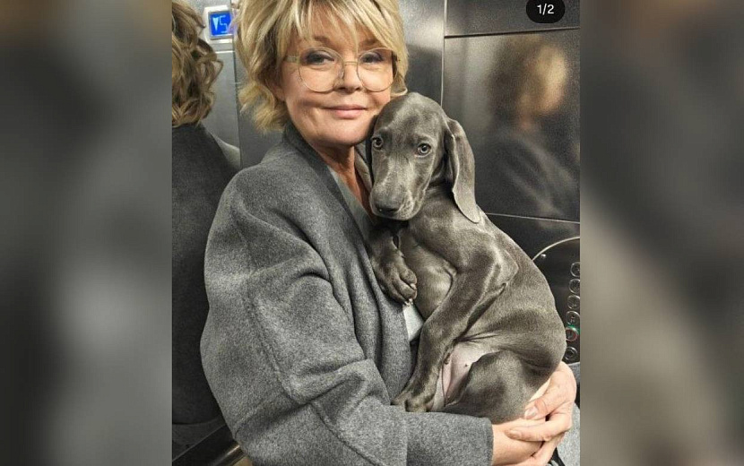 Фото: соцсети