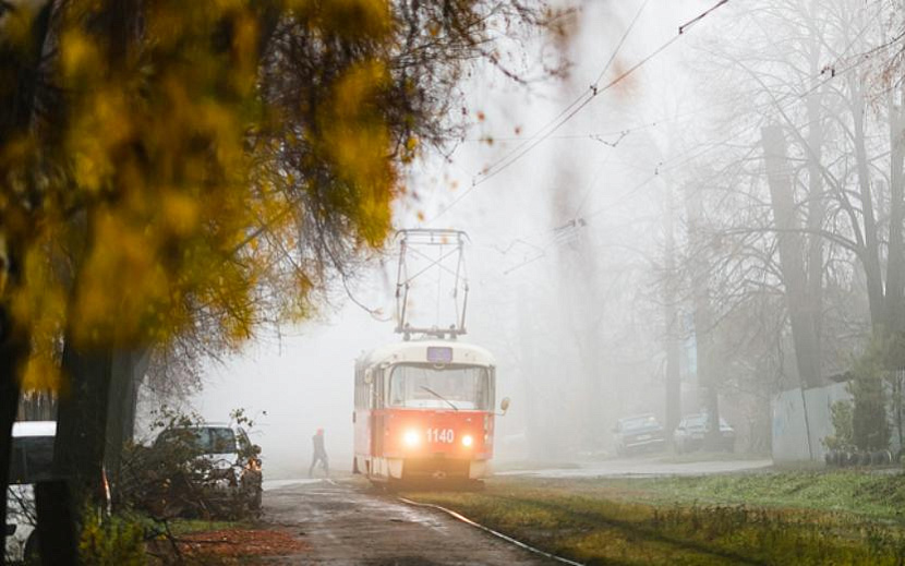 Фото: Амир Закиров