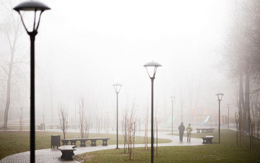 Фото: Амир Закиров