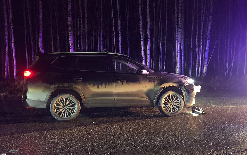 Фото: Госавтоинспекция Удмуртии