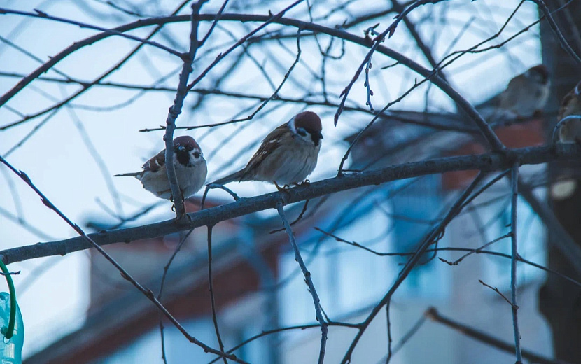 Что принесет второй месяц весны? Фото: Данил Иванов
