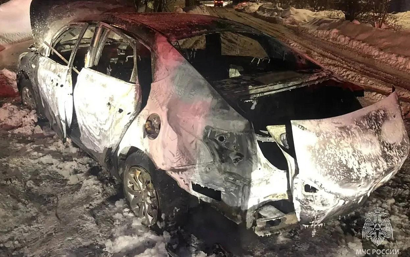 Фото: пресс-служба ГУ МЧС по Удмуртии