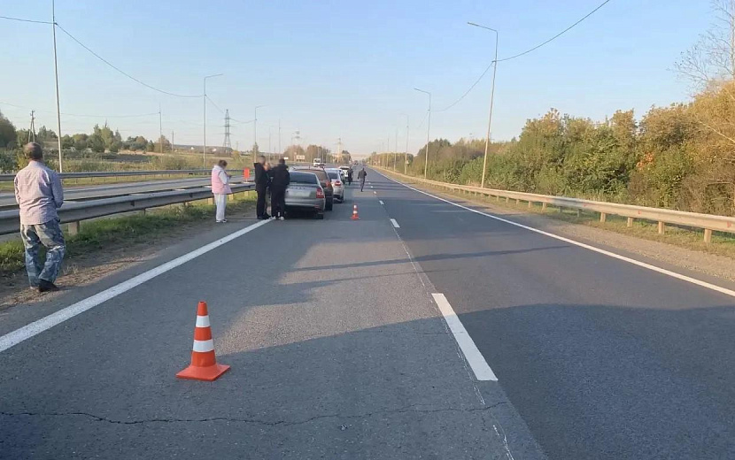 Фото: Госавтоинспекция Удмуртии