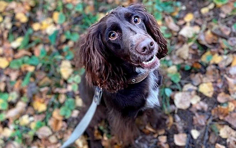 Шейла служит в колонии уже около трех лет. Фото: пресс-служба УФСИН по Удмуртии