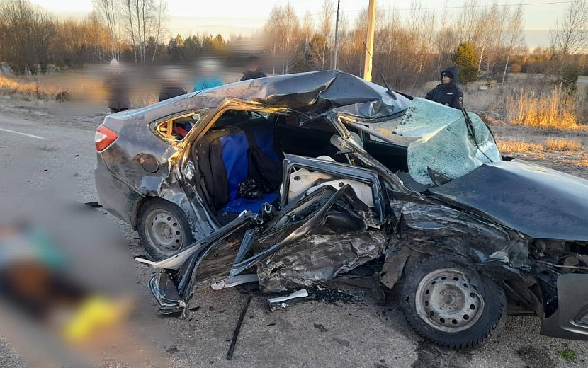 Фото: Госавтоинспекция Удмуртии