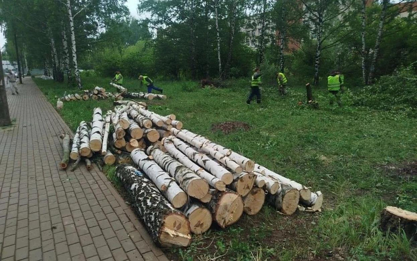 Фото: Сергей Багин