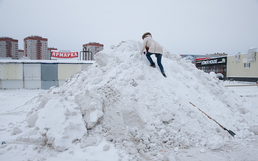 Фото: Сергей Грачев