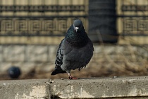 Погода в Ижевске на день: 30 марта пройдут небольшие дожди