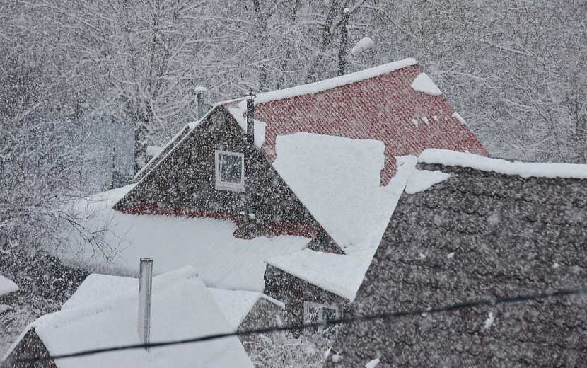 Фото: Сергей Грачев