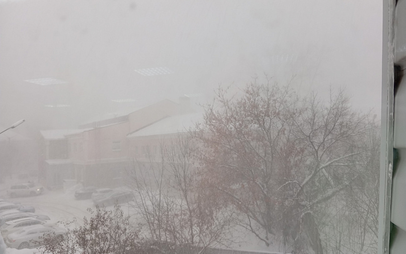 Фото: Игорь Бобров