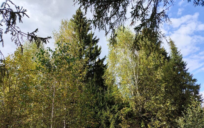 Фото: Таня Трушкова
