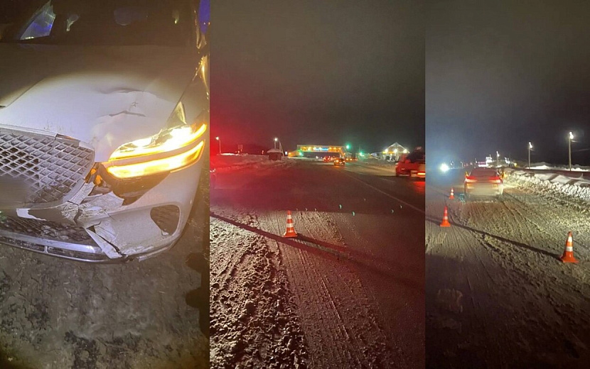 Фото: Госавтоинспекция Удмуртии