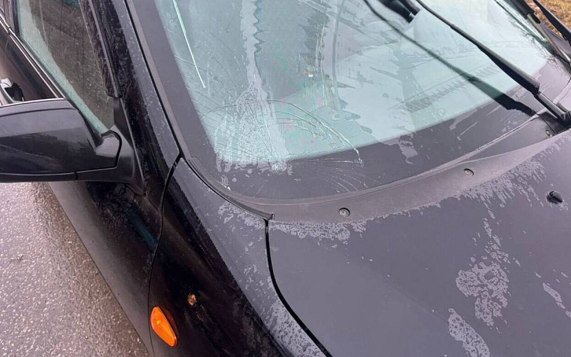 Фото: Госавтоинспекция Удмуртии