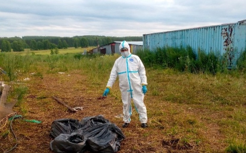 Госветслужба Удмуртии исключила птичий грипп в деревне Якшур. Фото: Главное управление ветеринарии Удмуртии
