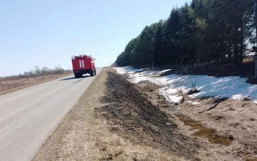 Фото: Андрей Шуткин