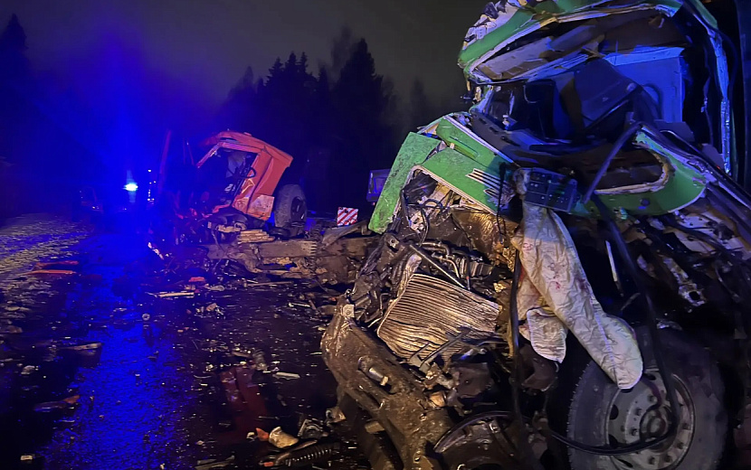 Фото: пресс-служба Госавтоинспекции иУдмуртии 