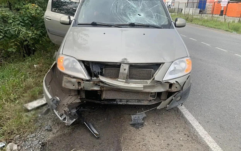 Фото: Госавтоинспекция Удмуртии