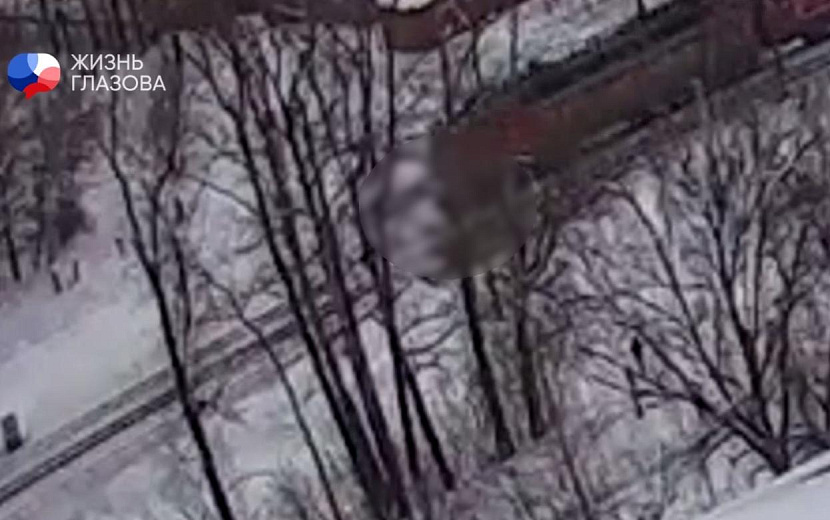 Фото: t.me/garantg