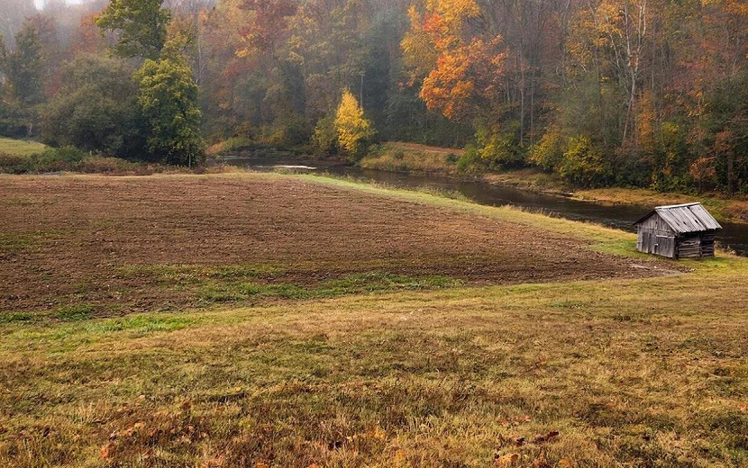 Фото: нейросеть