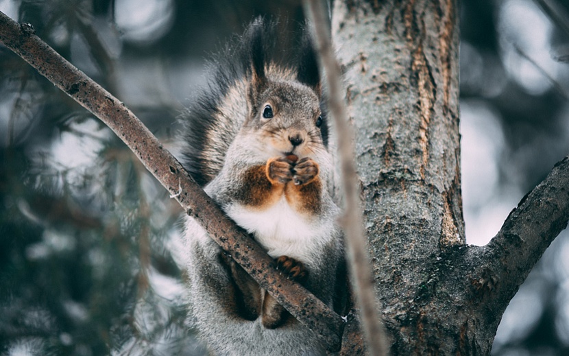 Фото: Сергей Березин