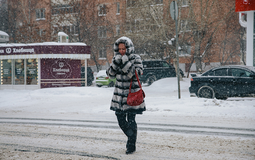 Фото: Сергей Грачев 