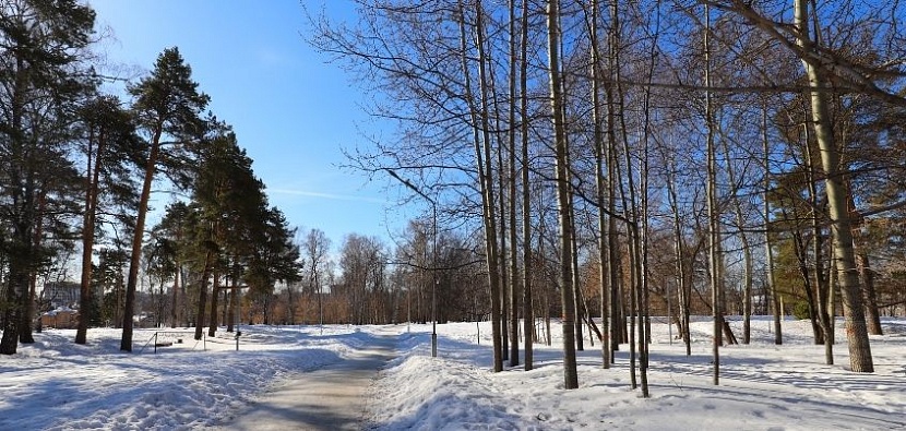 Амир Закиров