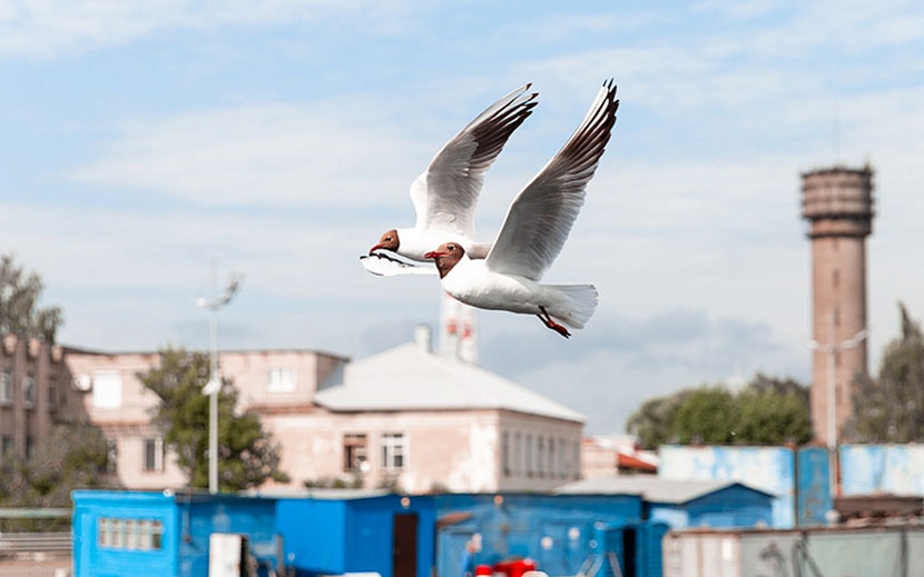 Лето в Ижевске. Фото: Ильяс Бекмансуров