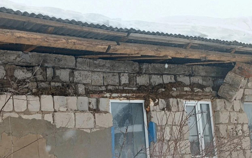 Фото: Андрей Шуткин