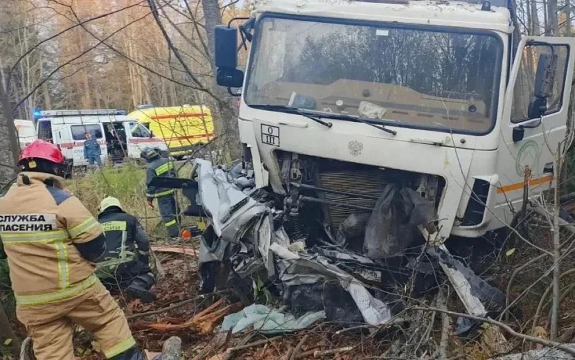 Фото: Госавтоинспекция Удмуртии