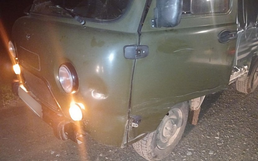 Фото: Госавтоинспекция Удмуртии