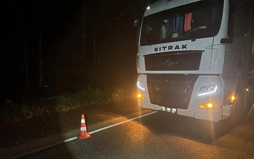Фото: Госавтоинспекция Удмуртии