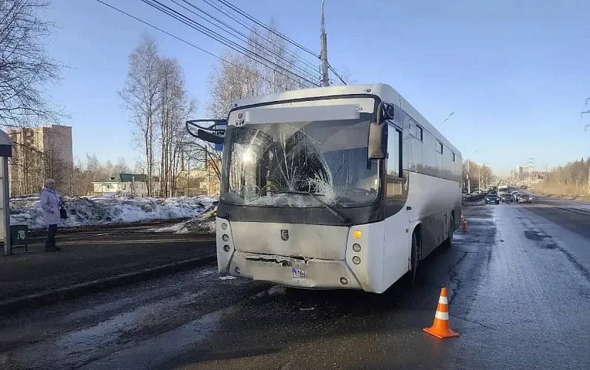 Фото: Госавтоинспекция Удмуртии