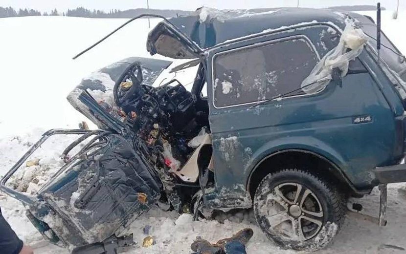 Фото: Госавтоинспекция Удмуртии