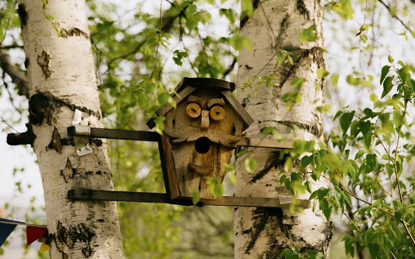 Фото: Мария Бакланова