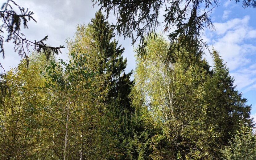 Фото: Таня Трушкова
