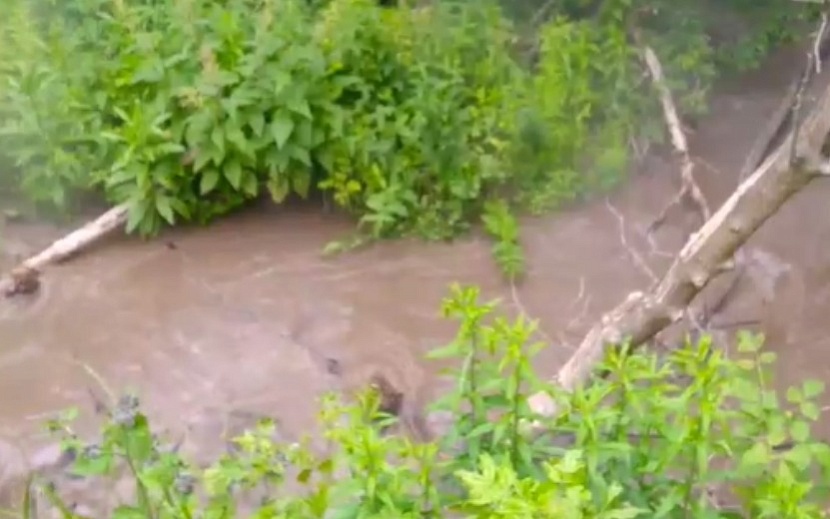 Скриншот из видео. Фото: t.me/vostochnyposelok