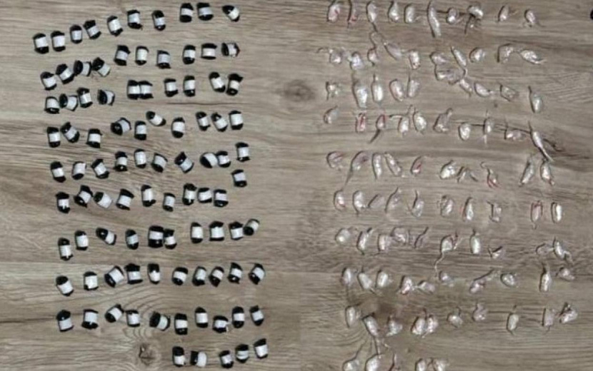 Фото: пресс-служба МВД по Удмуртии