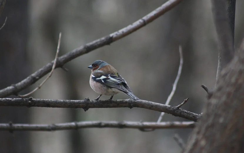 Фото: архив редакции