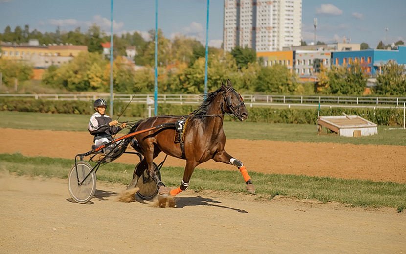 Фото: Мария Бакланова