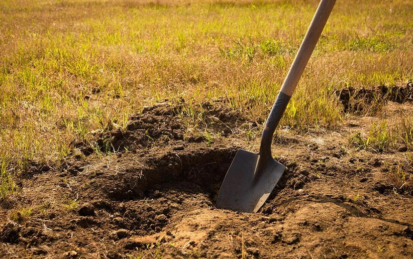 Фото: нейросеть