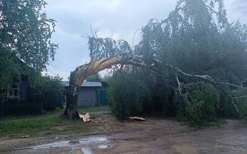 Фото: Эрик Уразов