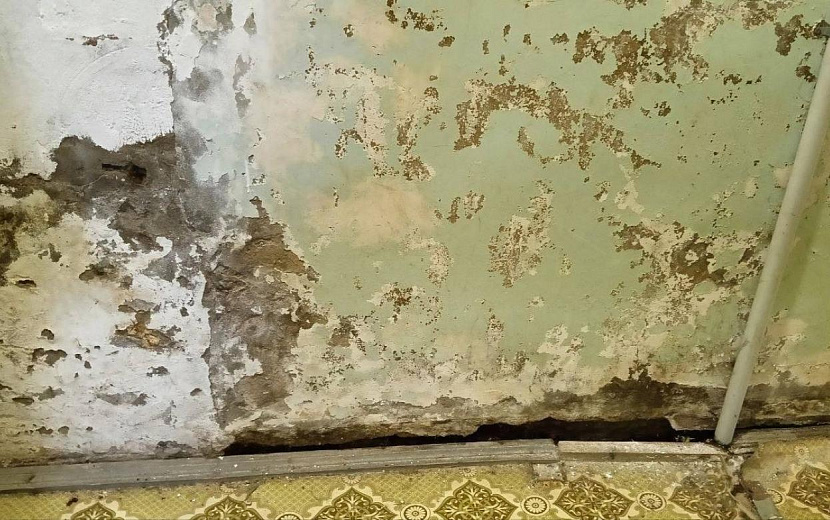 Фото: vk.com/izhevsksegodnya