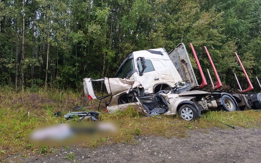 Фото: Госавтоинспекция Удмуртии
