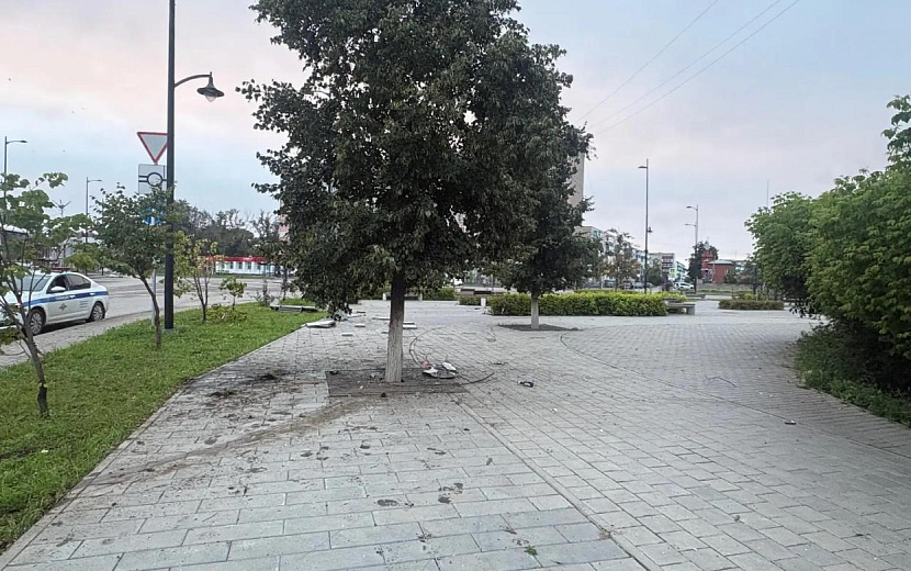 Фото: Госавтоинспекция Удмуртии